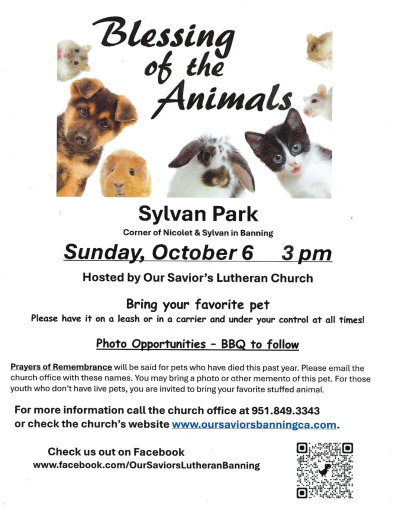 Blessing of the Animals @ Our Savior's Lutheran Church | Banning | California | United States